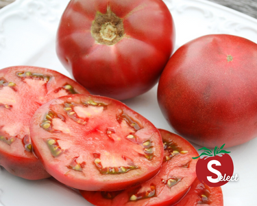 Cherokee Purple Tomato Seeds